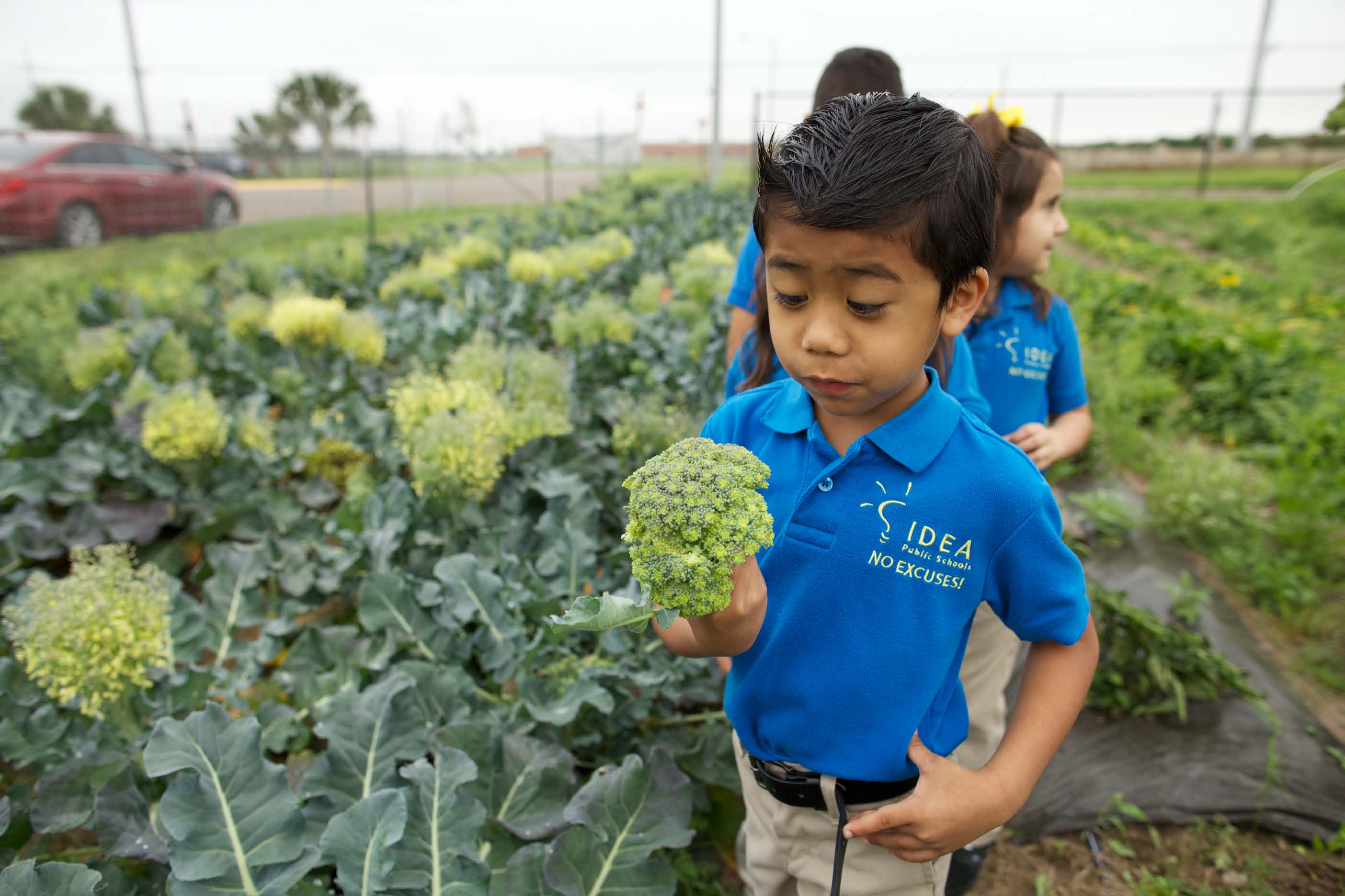 A student checks out some of the broccoli, fresh from the school farm. Photo by IDEA Public Schools