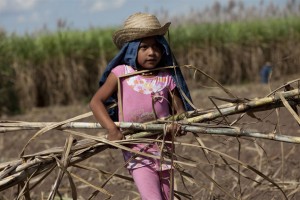 bolivia-child-work-cane4