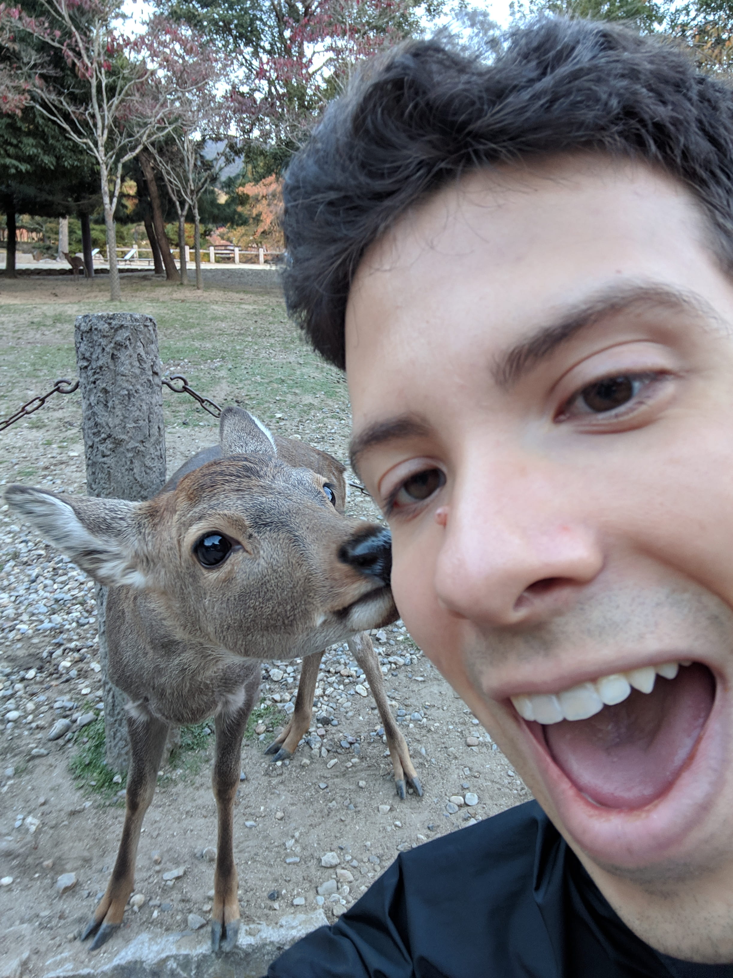 Steve and deer picture