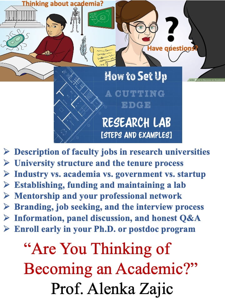 ECE8801: Are You Thinking of Becoming an Academic?