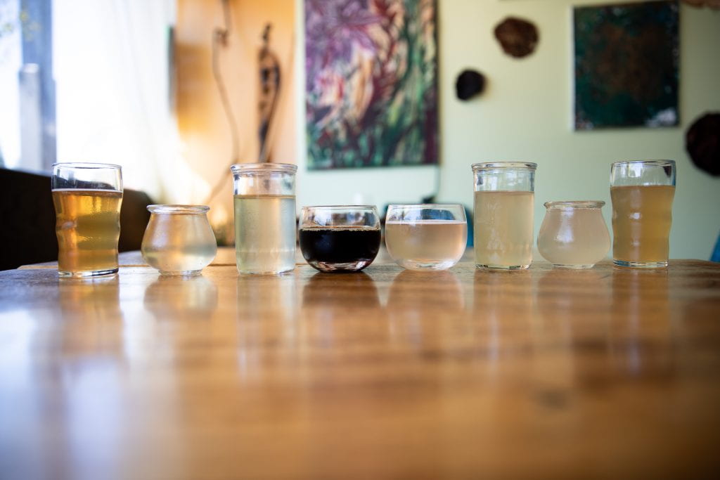 a line of kombucha drinks in various glasses