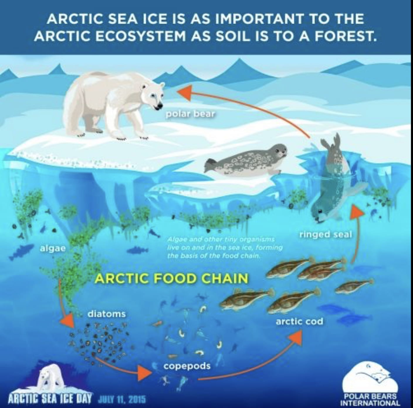 Схема питания арктической