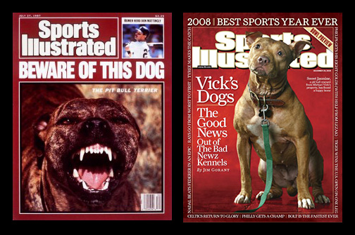 Sweet Jasmine, Michael Vicks Pit Bull Dogs Sports Illustrated Cover by  Sports Illustrated