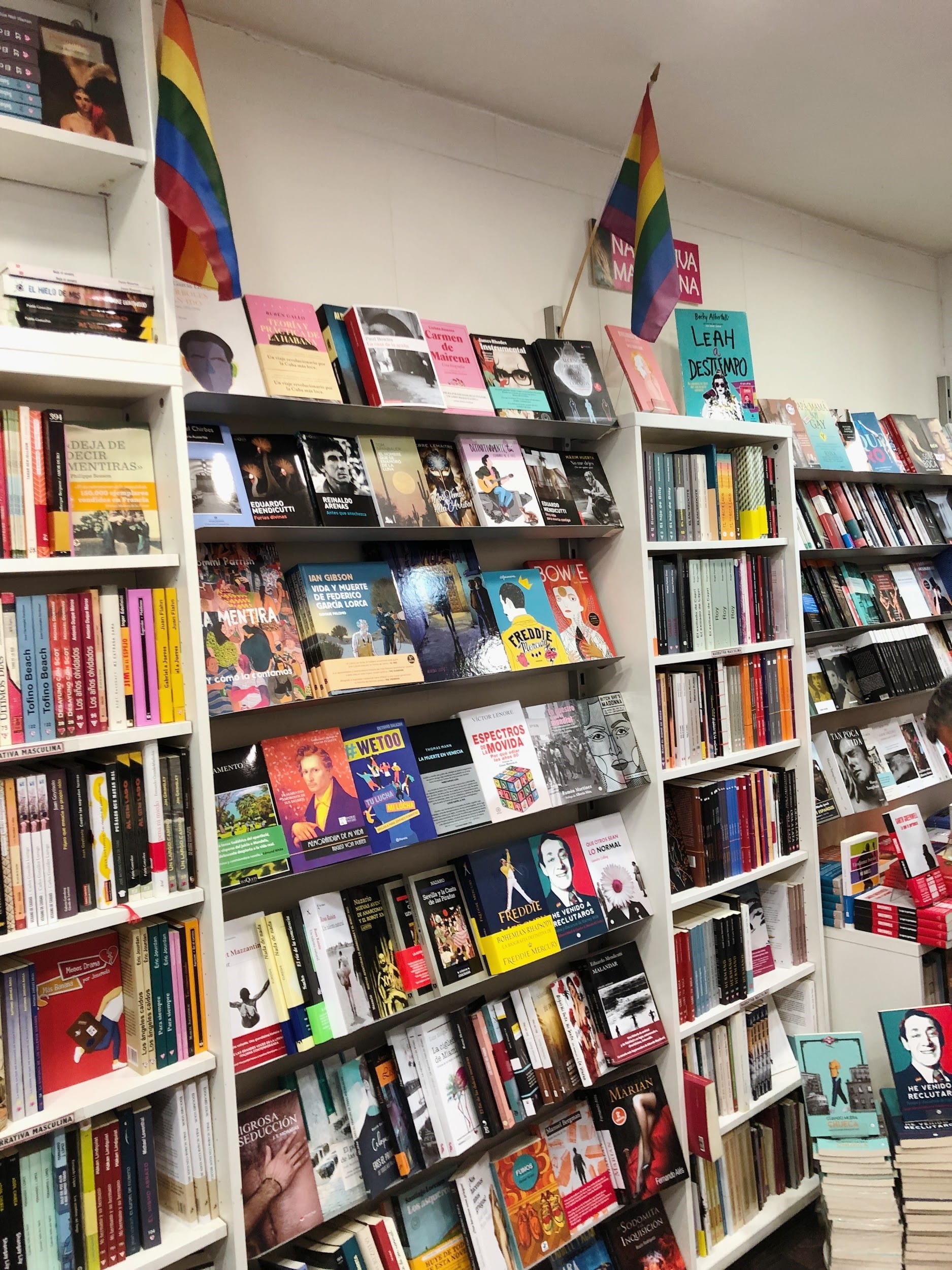 Bookshelf full of LGBTQ+ books and pride flags 