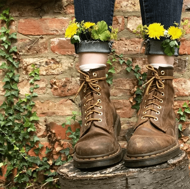 Dandelions tucked into the cuffs of jeans and brown boots