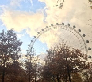 A view of The London Eye Ferris Wheel through tress